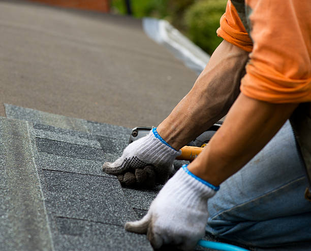 Professional Roofing Contractor in Alamo, CA