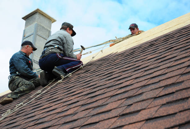 Best Storm Damage Roof Repair  in Alamo, CA